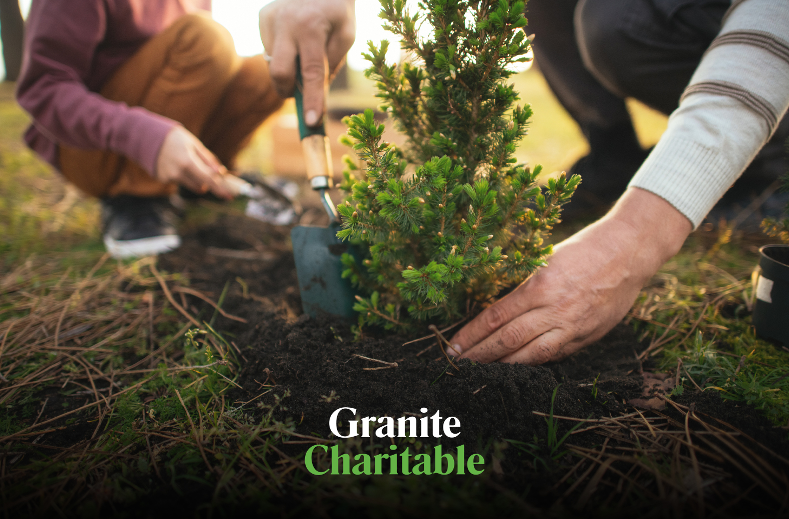 Compact Carousel Granite Charitable